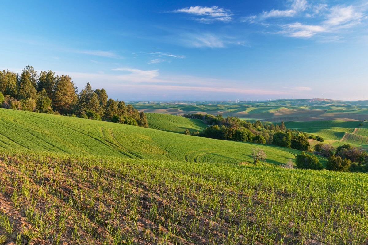 Farmland where you camp in RV