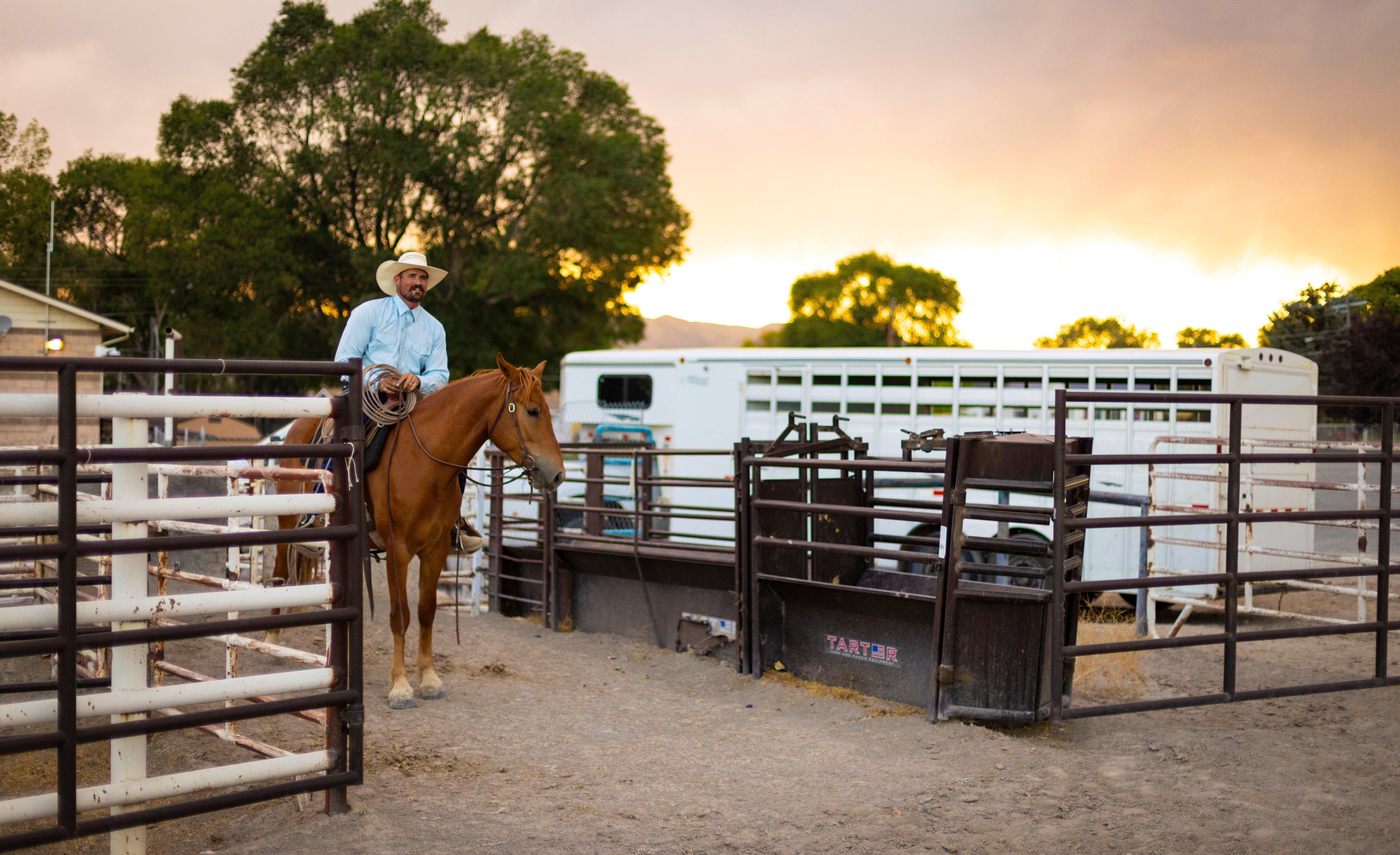 Horse Trailers