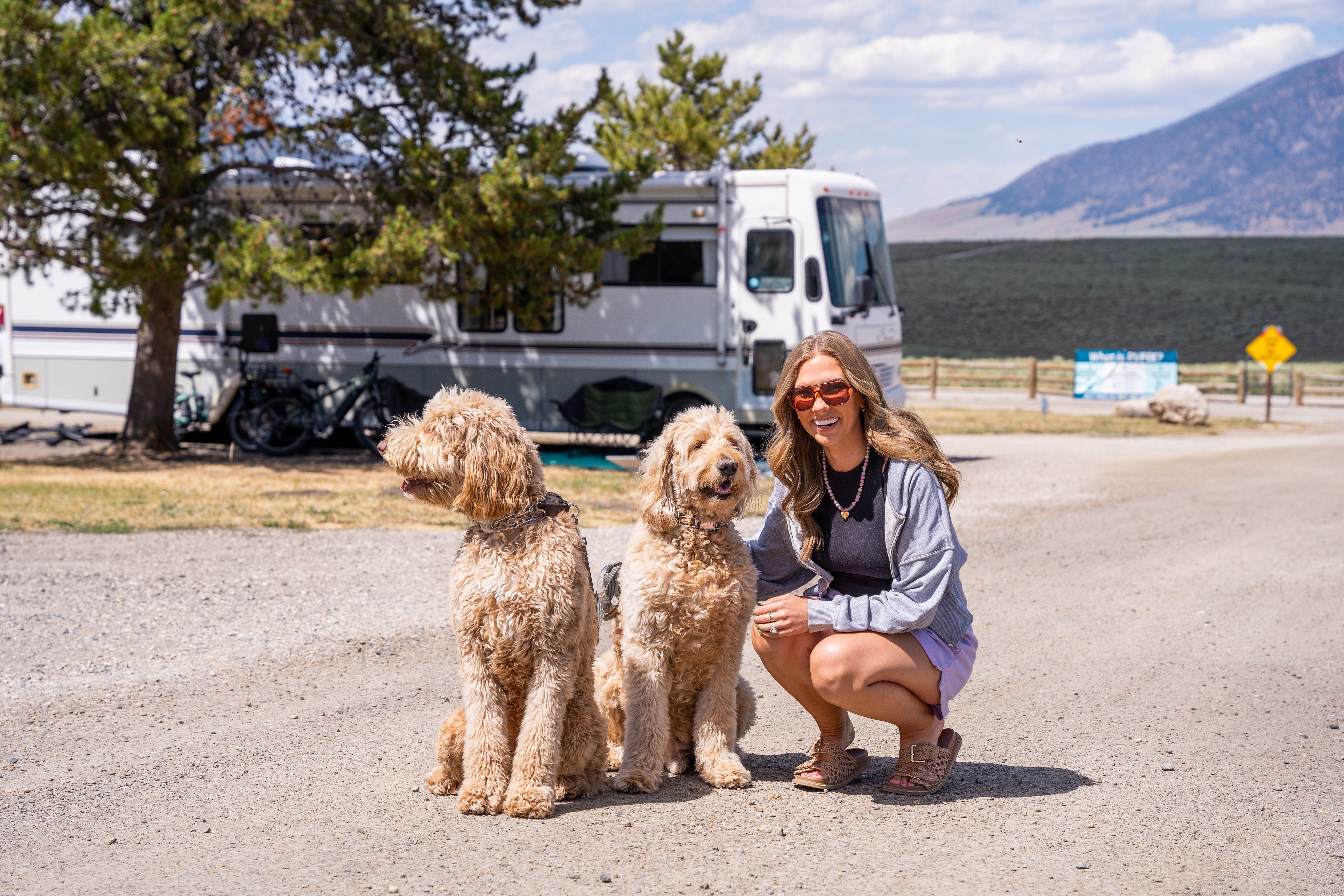 Elk & Deer Dog Chews