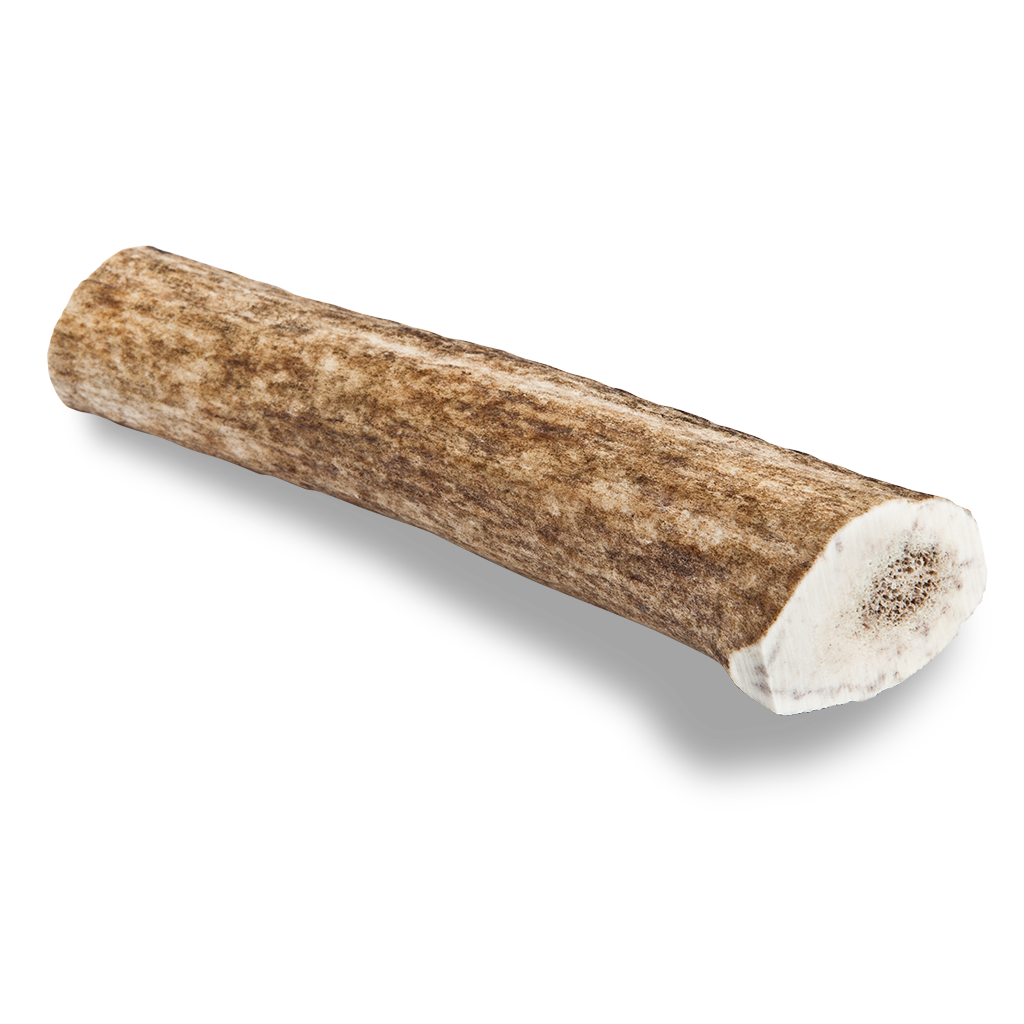 Elk Antler Dog Chew