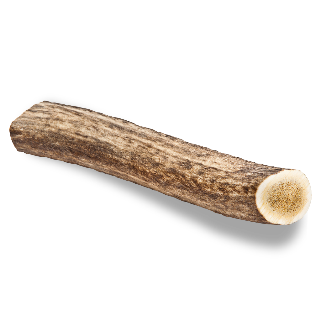 Elk Antler Dog Chew