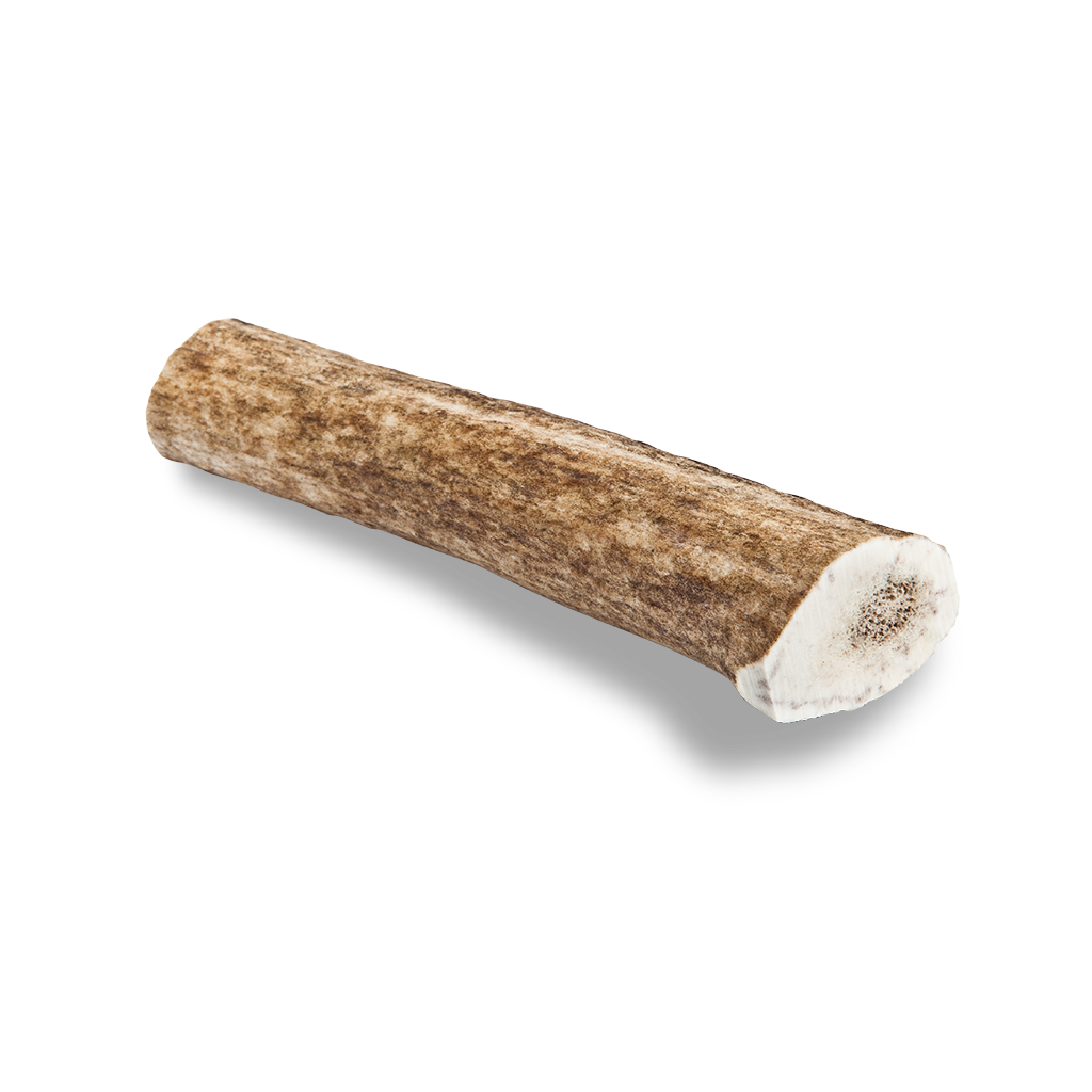 Elk Antler Dog Chew