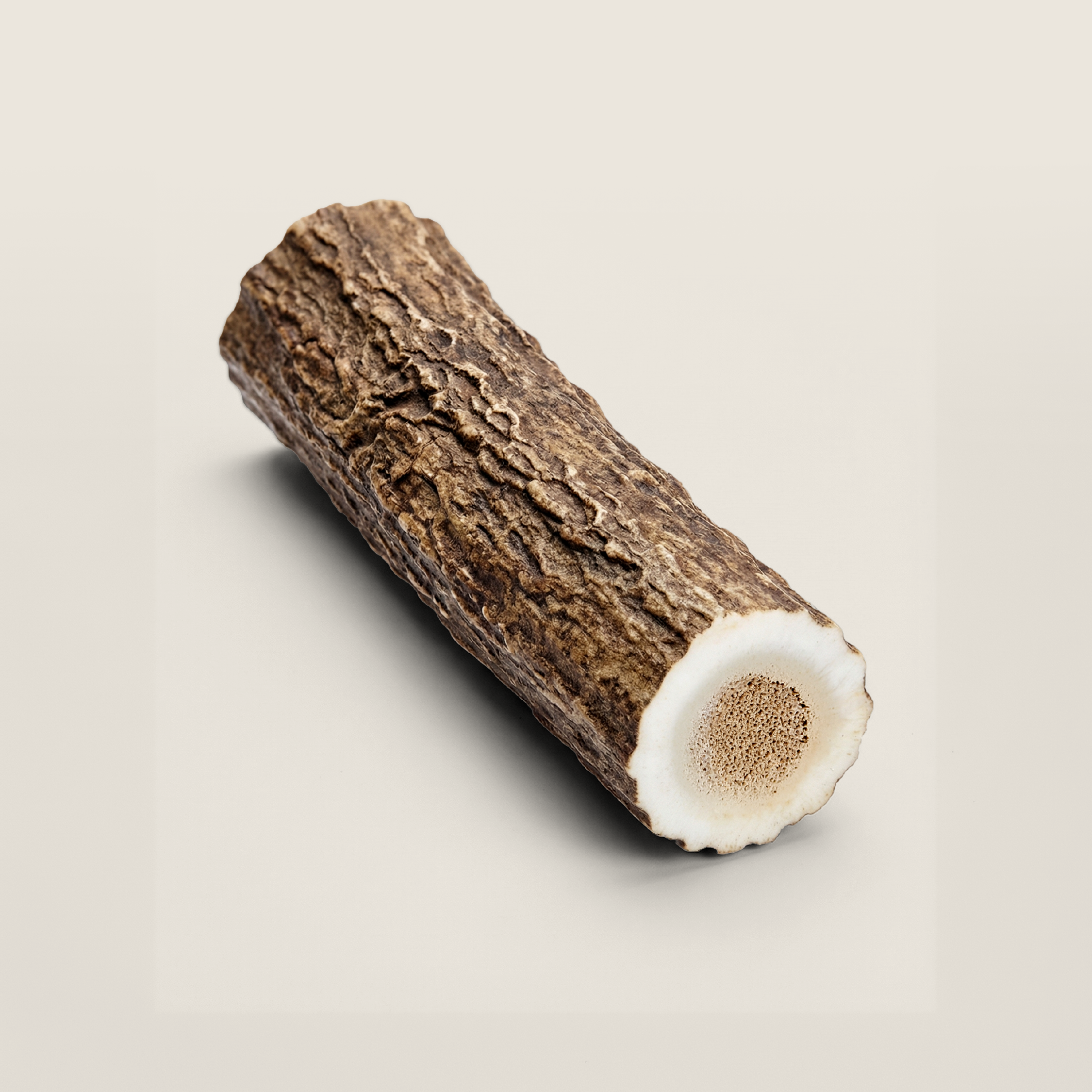 Elk Antler Dog Chew