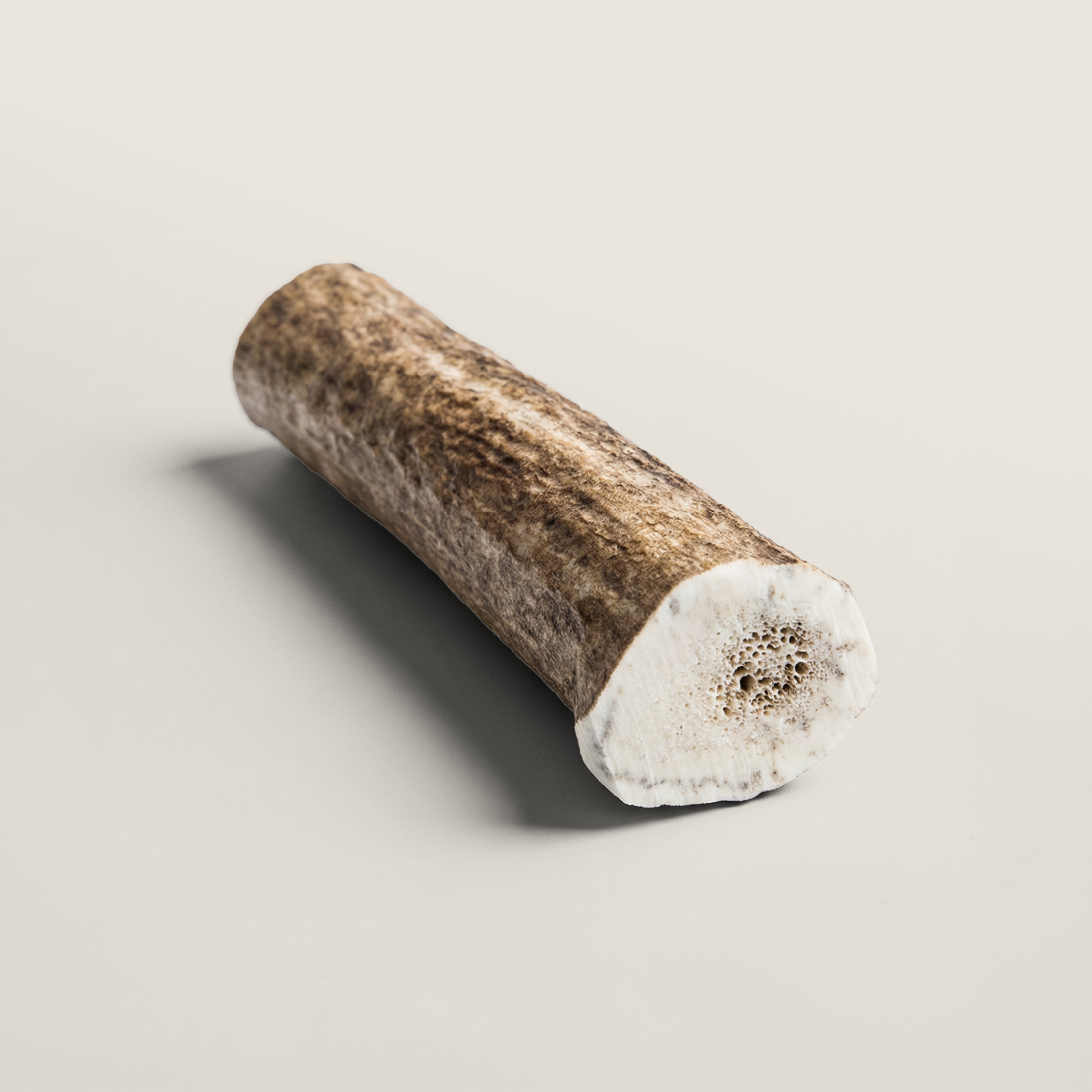 Elk Antler Dog Chew