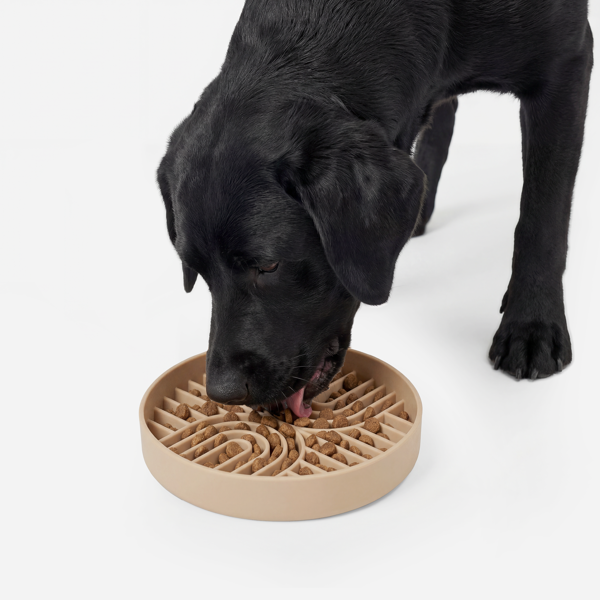 RVLock Dog Bowl Slow Feeder