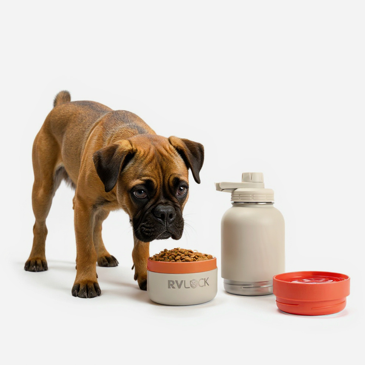 RVLock K9 Canteen - 3-in-One Container