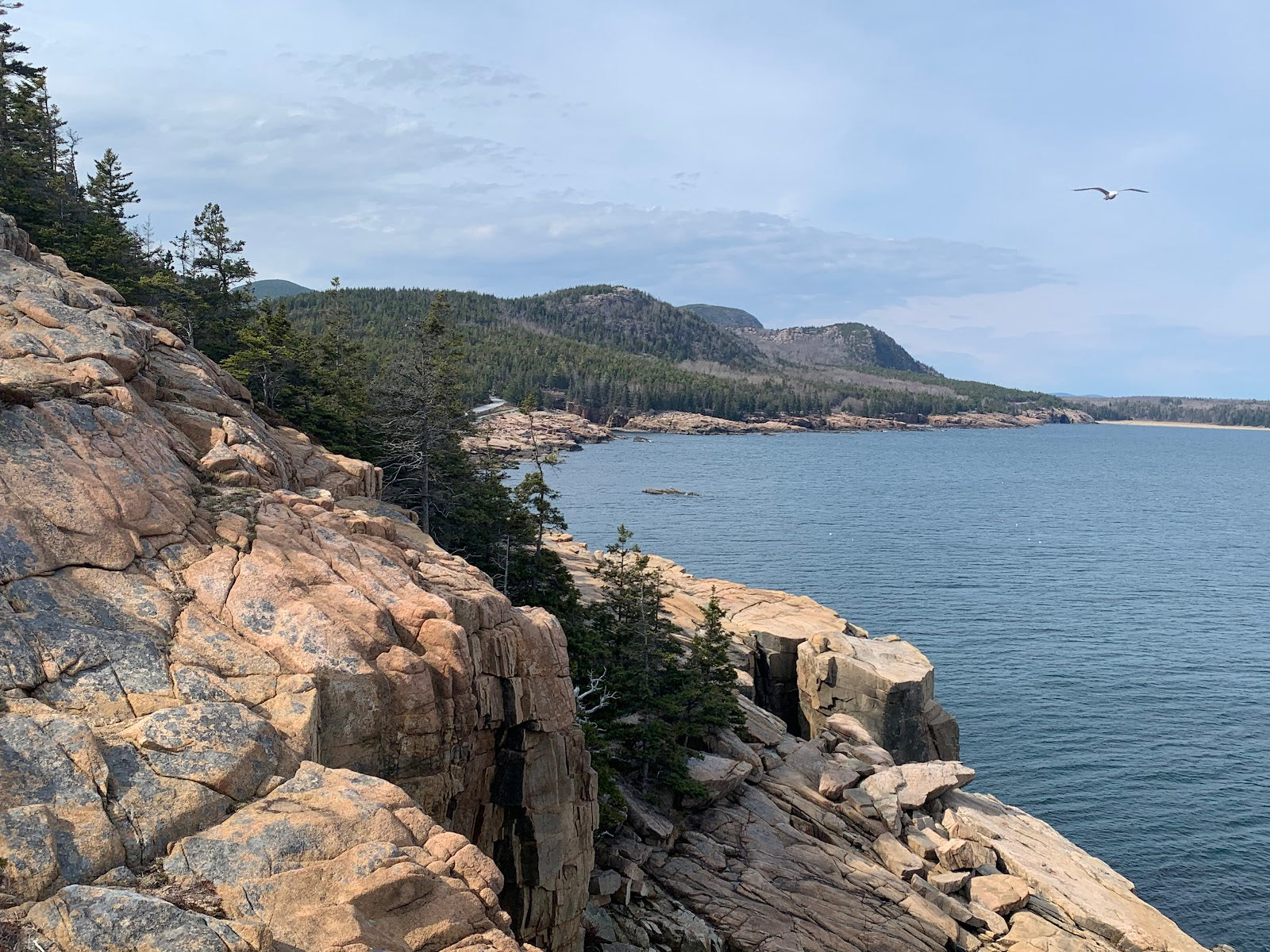 Acadia National Park