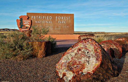 RVLock's Guide to RVing Petrified Forest National Park