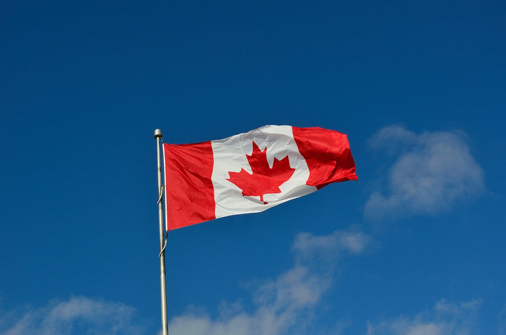 Canadian flag blowing in wind