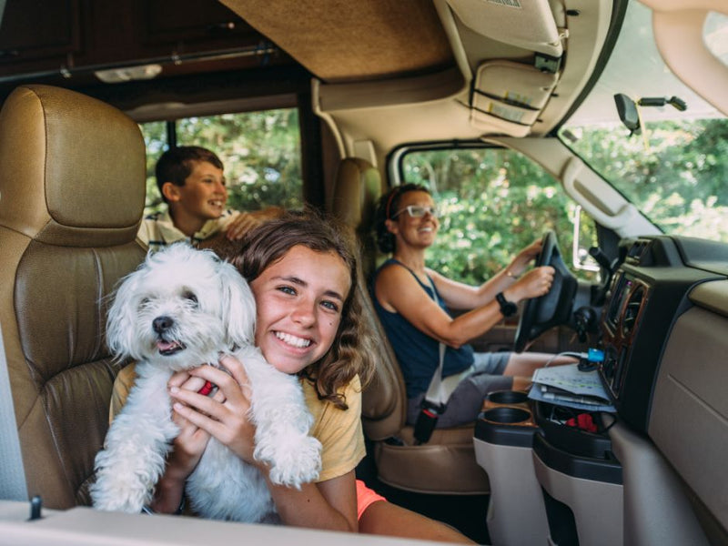 RVing with Dogs: Tips for a Safe and Enjoyable Journey – RVLock