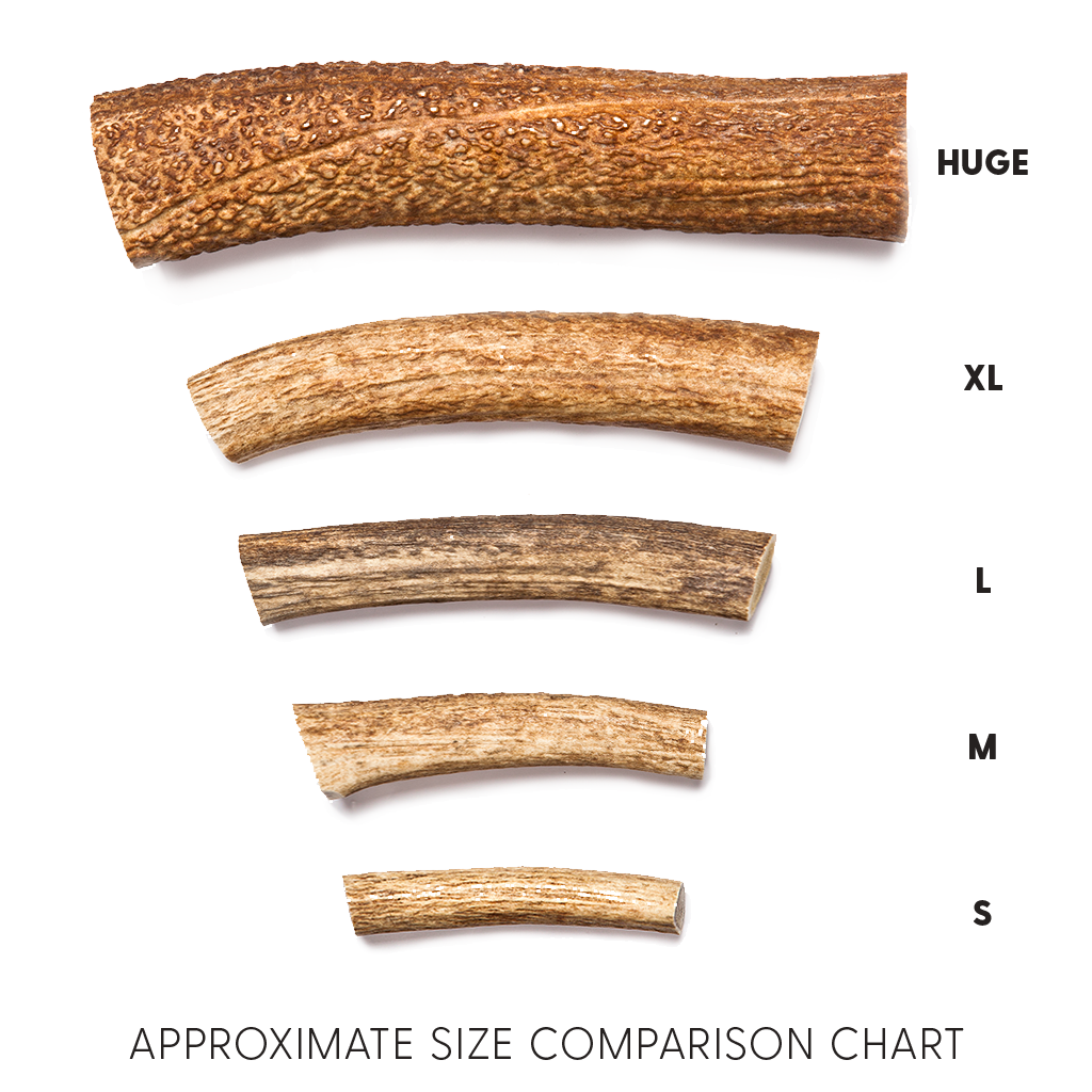 Elk & Deer Dog Chews