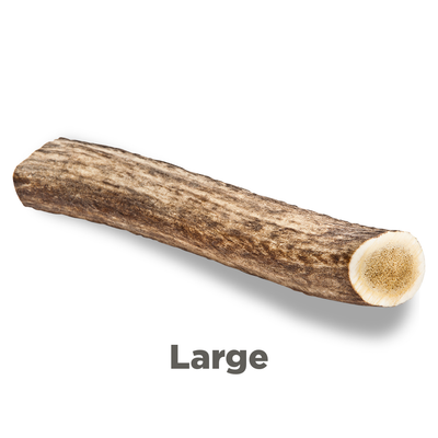 Elk Antler Dog Chew