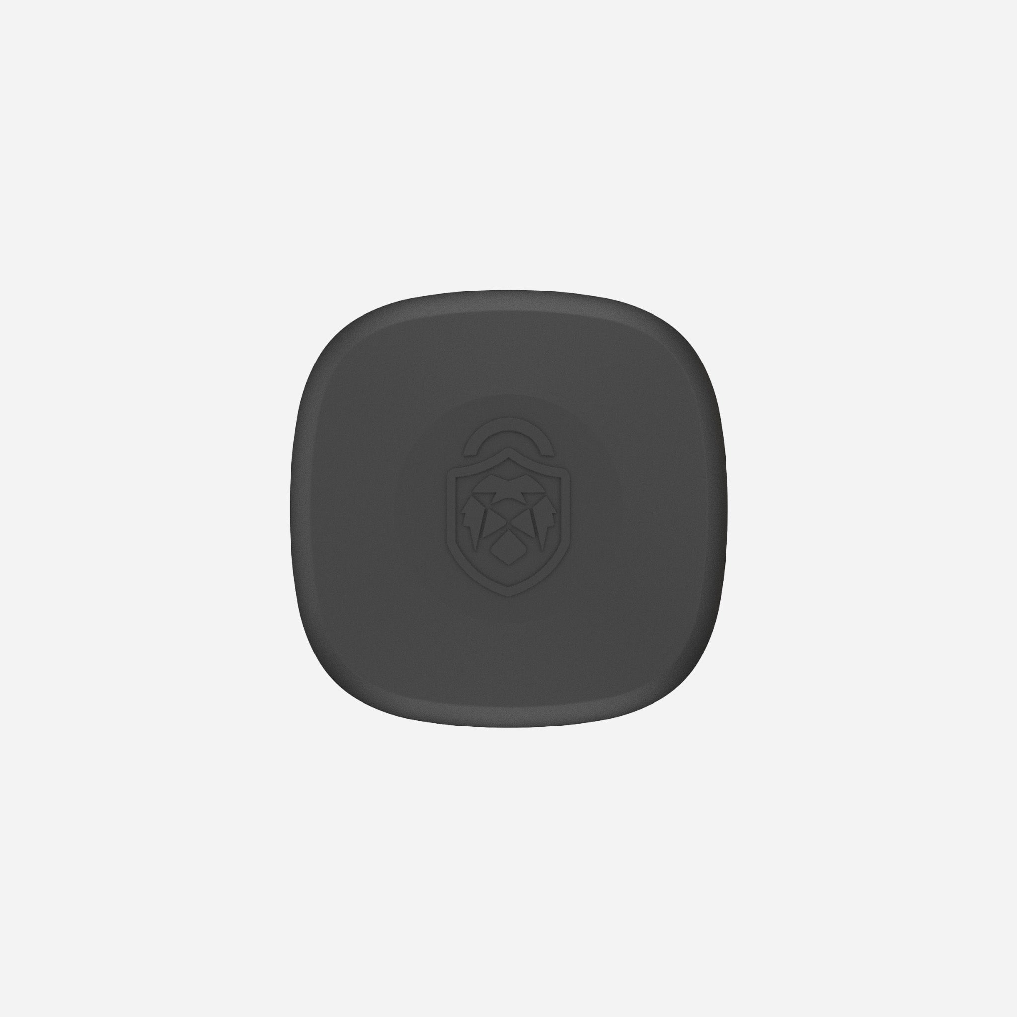 RVLock BT Pro+