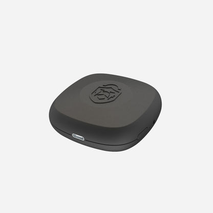 RVLock BT Pro+