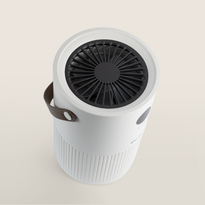 RVLock Rechargeable Breeze Air Purifier (HEPA)