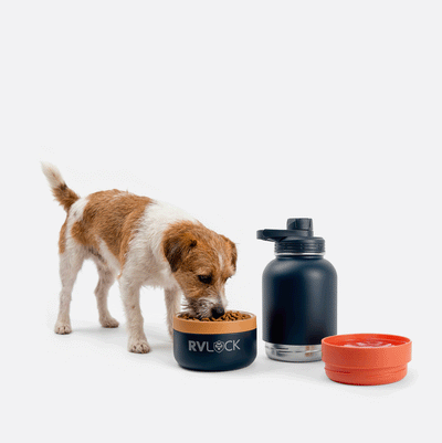 RVLock K9 Canteen 3-in-One - Navy