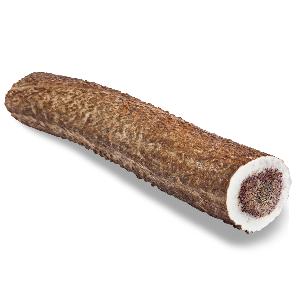 Elk Antler Dog Chew