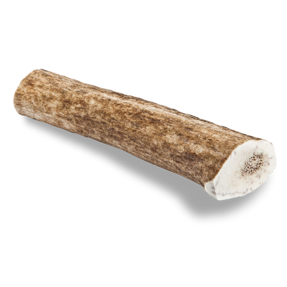 Elk Antler Dog Chew