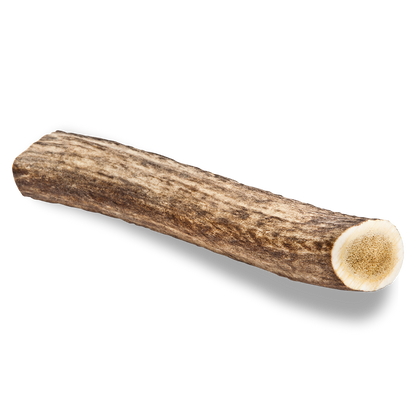 Elk Antler Dog Chew