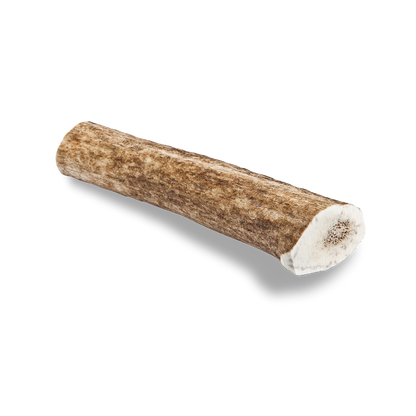 Elk Antler Dog Chew