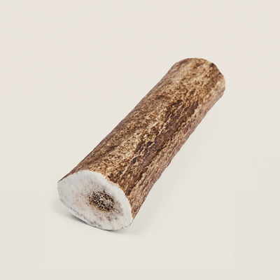 Elk Antler Dog Chew
