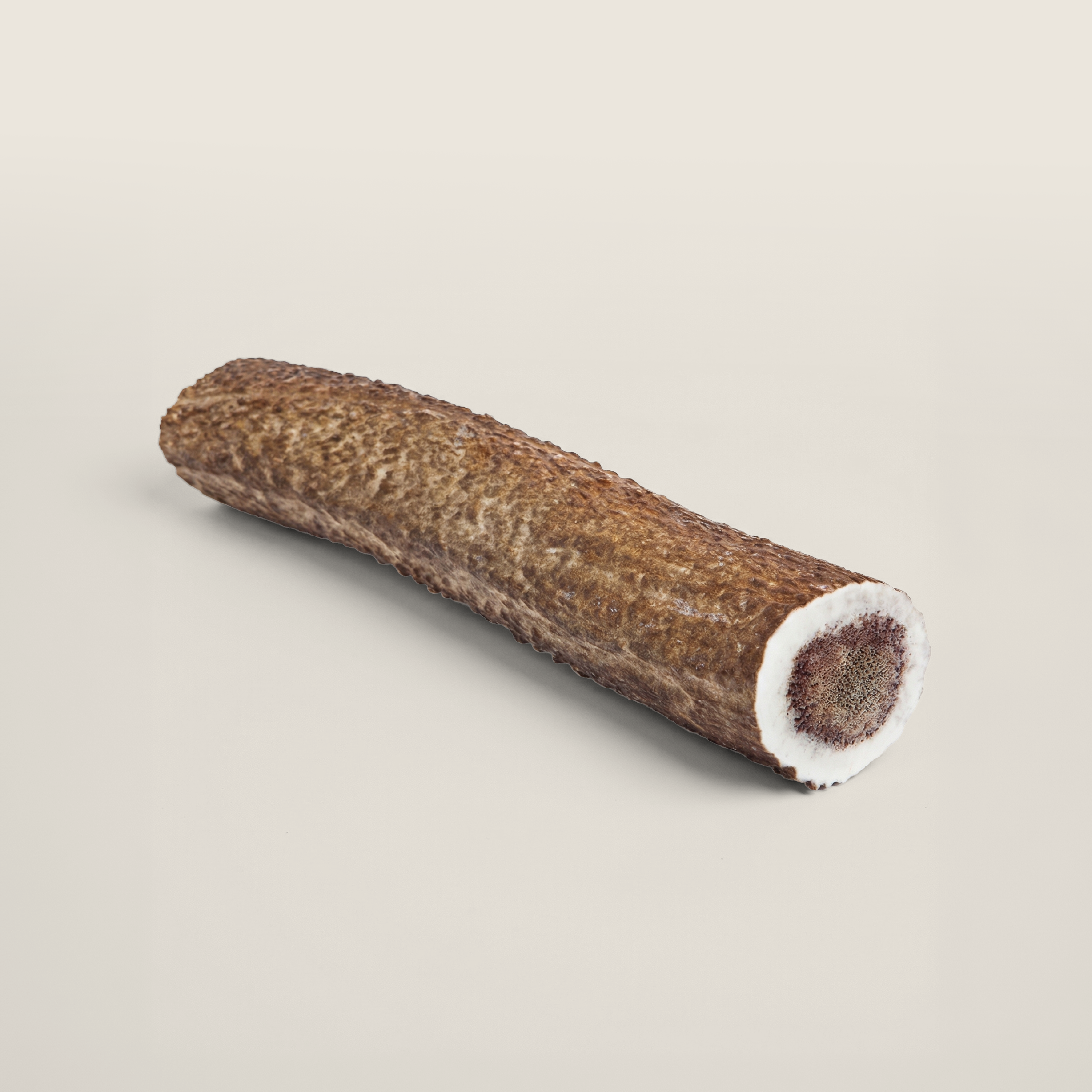 Elk Antler Dog Chew