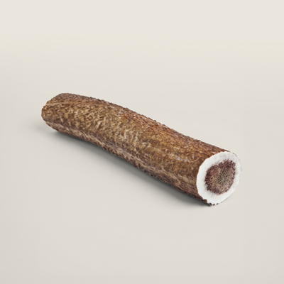 Elk Antler Dog Chew