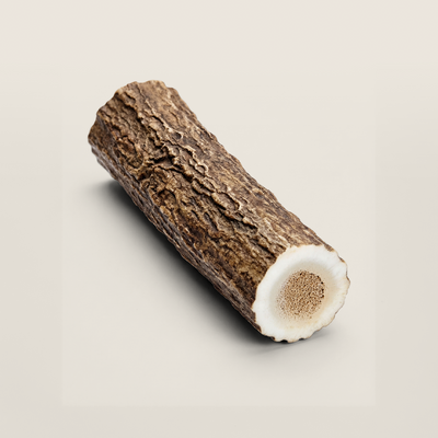 Elk Antler Dog Chew