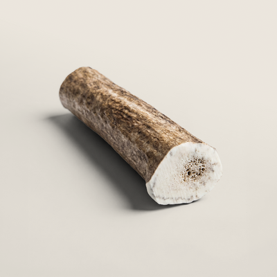Elk Antler Dog Chew