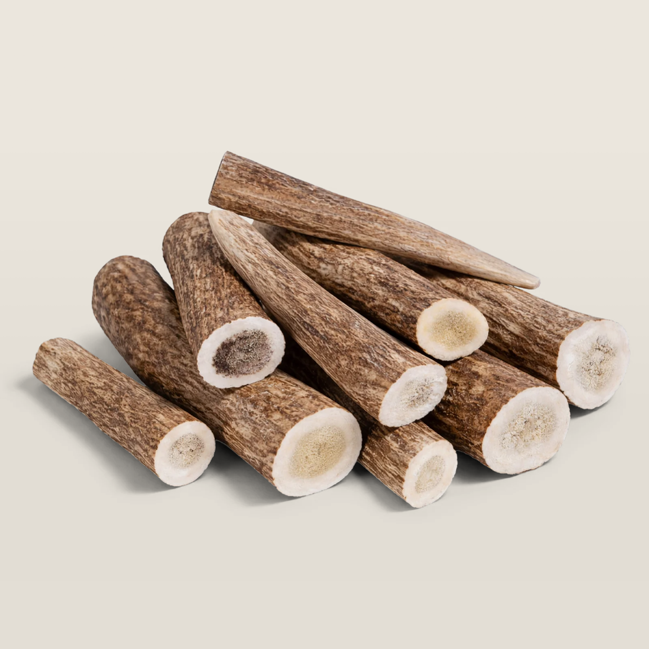 Elk Antler Dog Chew