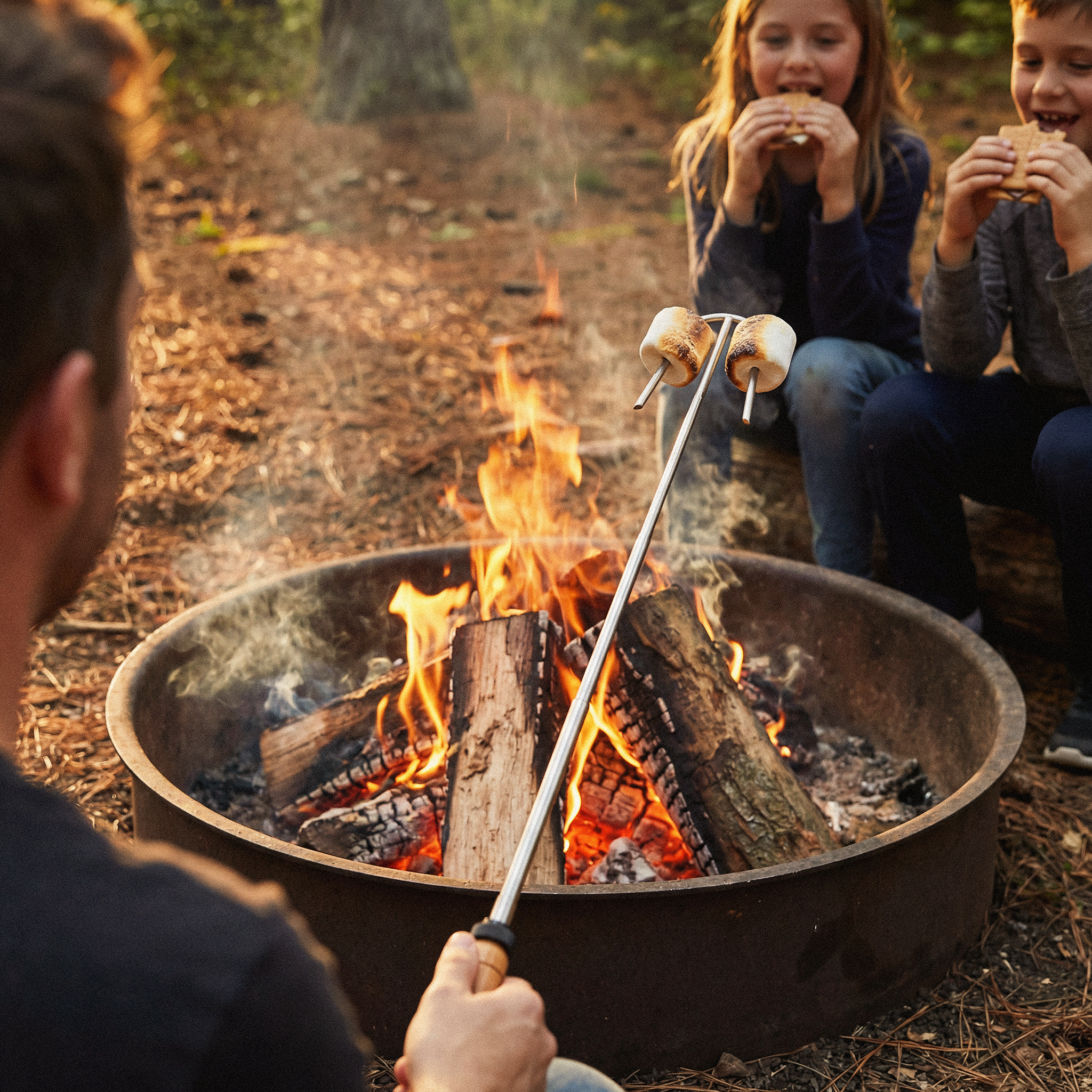 RVLock Roasting Sticks