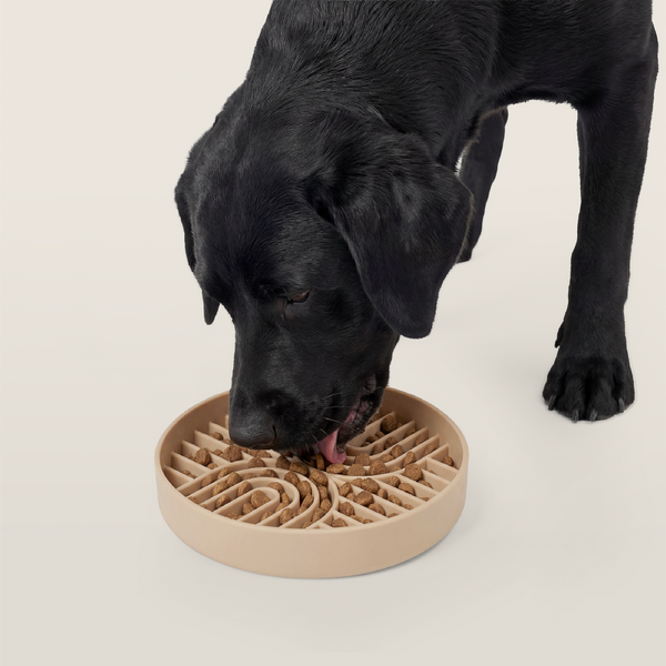 RVLock Dog Bowl Slow Feeder