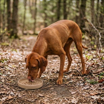 RVLock Dog Bowl Slow Feeder