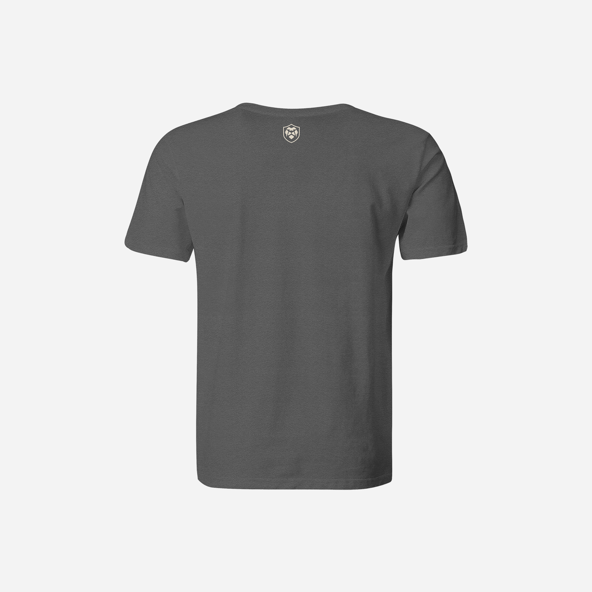 RVLock T-Shirt - Gray RVLock